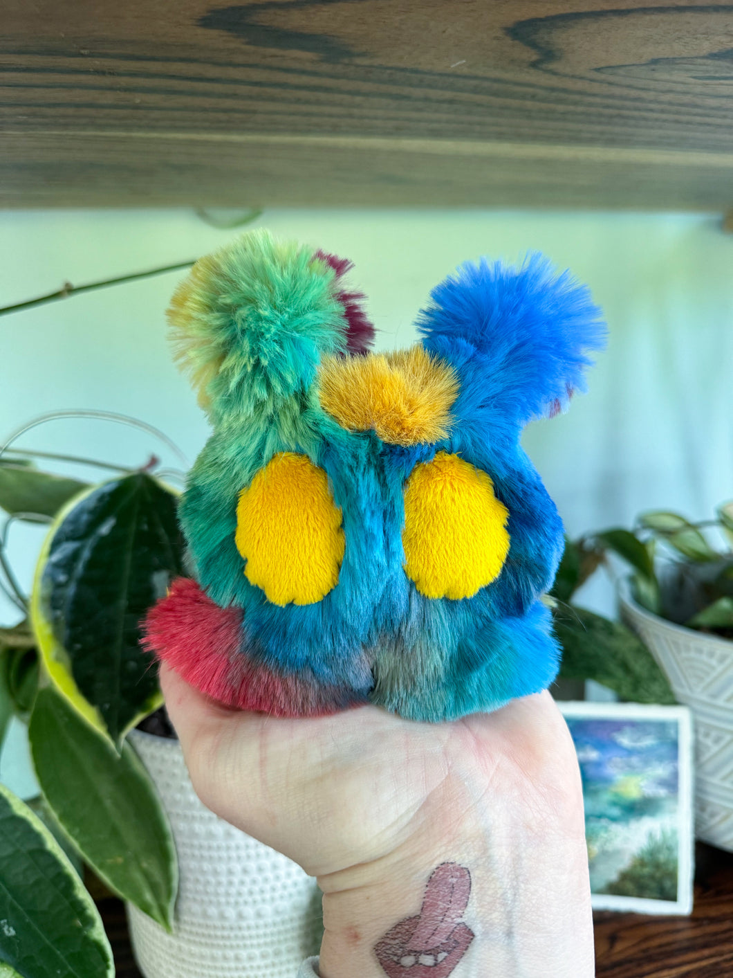 🌈Poof Micro Hubble #2