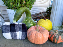 Load image into Gallery viewer, Pumpkin Pillow ✨
