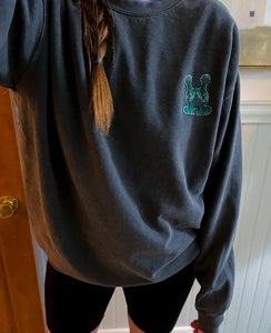 Hubble Crewneck Sweatshirt (LG)