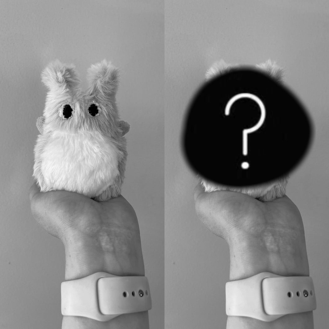 Mystery Bebe Spec
