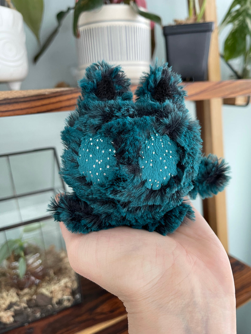 🐱✨Catrat the Micro Hubble